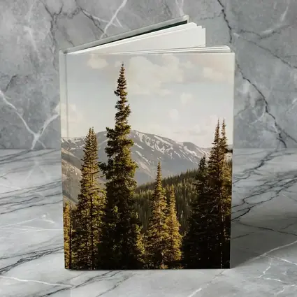 Tall Pine Trees Snow Capped Mountain Landscape