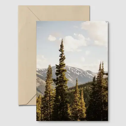 Tall Pine Trees Snow Capped Mountain Landscape
