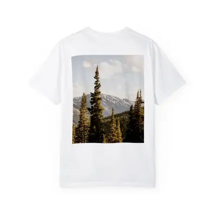 Tall Pine Trees Snow Capped Mountain Landscape