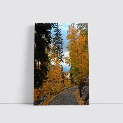 Autumn Path Golden Trees Cloudy Sky