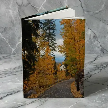 Autumn Path Golden Trees Cloudy Sky