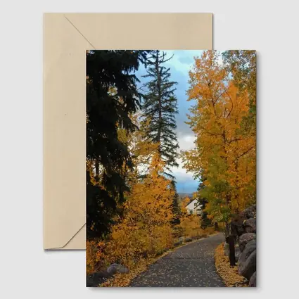 Autumn Path Golden Trees Cloudy Sky