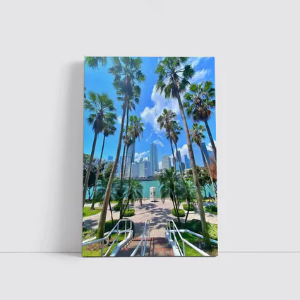 Miami Skyline Palm Trees Bayfront Park