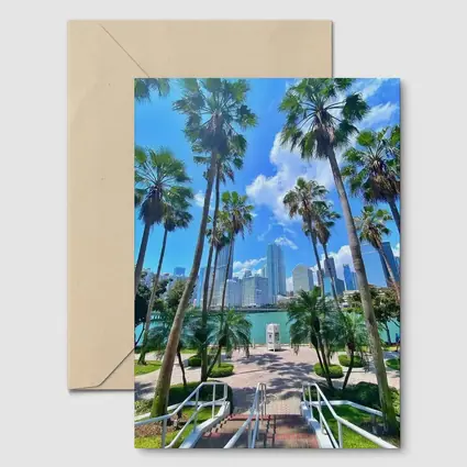 Miami Skyline Palm Trees Bayfront Park