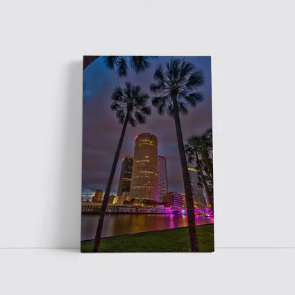 Tampa Skyline Night Palm Trees Florida