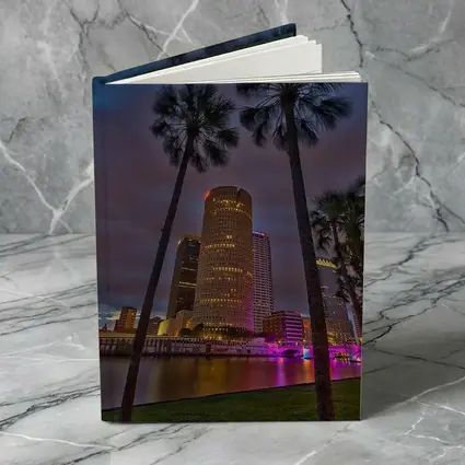 Tampa Skyline Night Palm Trees Florida