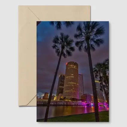 Tampa Skyline Night Palm Trees Florida