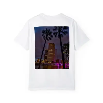 Tampa Skyline Night Palm Trees Florida