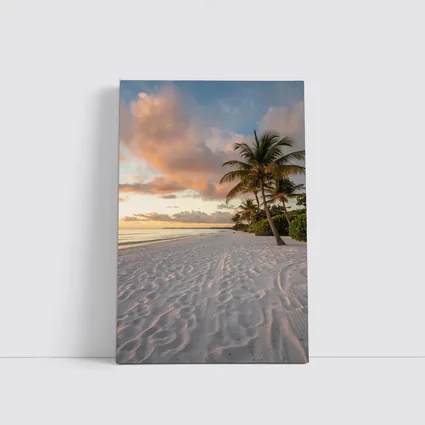 Tropical Beach Palm Tree Sunset Sky