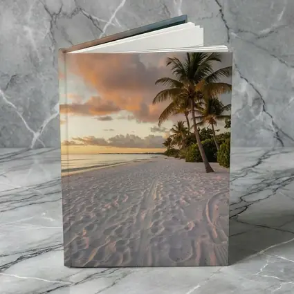 Tropical Beach Palm Tree Sunset Sky