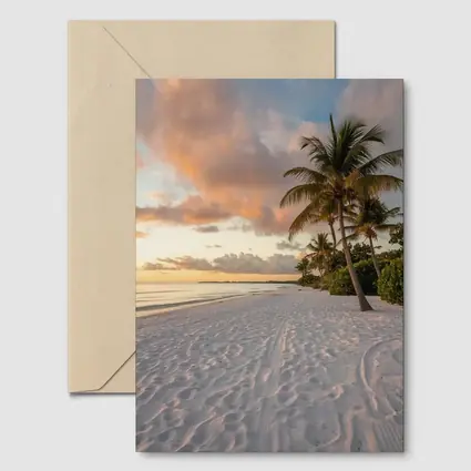 Tropical Beach Palm Tree Sunset Sky