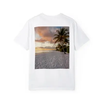 Tropical Beach Palm Tree Sunset Sky