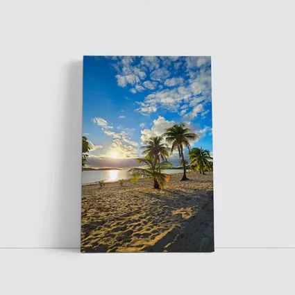 Tropical Beach Palm Trees Sunset Golden Sky