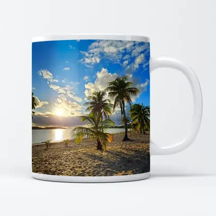 Tropical Beach Palm Trees Sunset Golden Sky