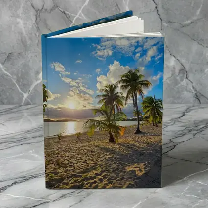 Tropical Beach Palm Trees Sunset Golden Sky