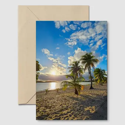 Tropical Beach Palm Trees Sunset Golden Sky