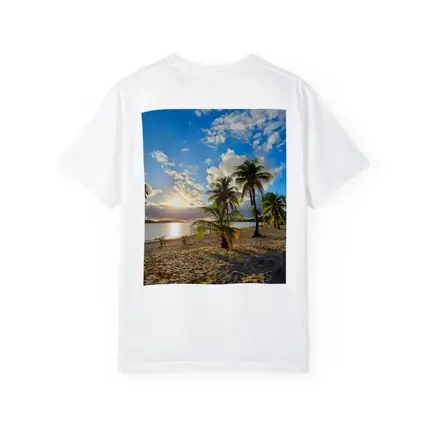 Tropical Beach Palm Trees Sunset Golden Sky