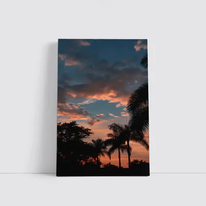 Tropical Palm Trees Silhouette Sunset Sky