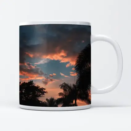 Tropical Palm Trees Silhouette Sunset Sky