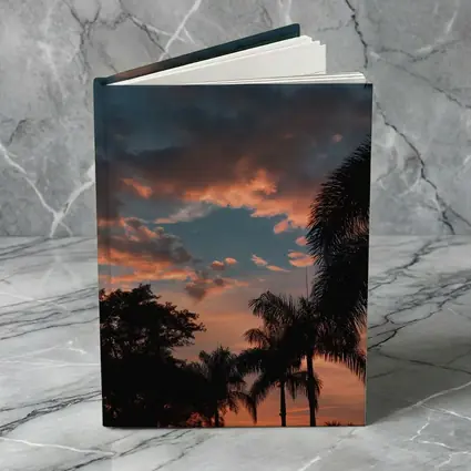 Tropical Palm Trees Silhouette Sunset Sky