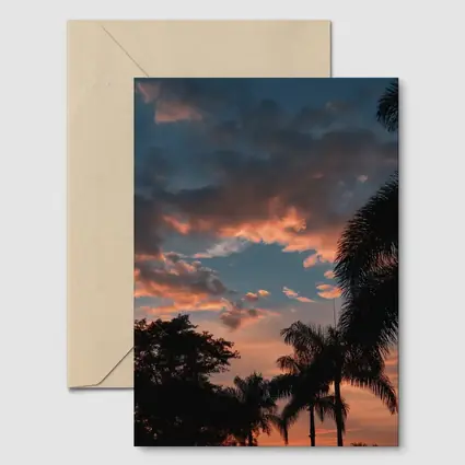 Tropical Palm Trees Silhouette Sunset Sky