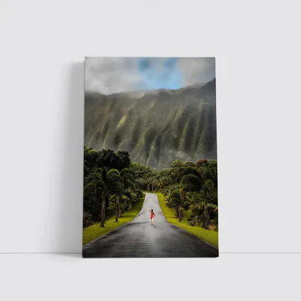Woman Walking Road Misty Green Mountains