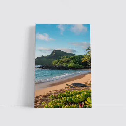 Sea Turtle On Tropical Hawaiian Beach Shore