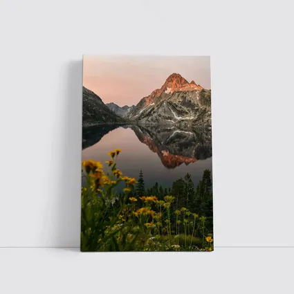 Mountain Lake Reflection Sunset Yellow Wildflowers