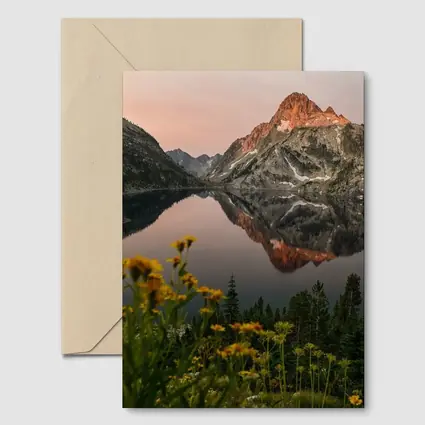 Mountain Lake Reflection Sunset Yellow Wildflowers