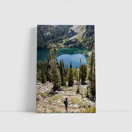 Hiker Overlooking Alpine Lake Mountain Forest