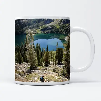 Hiker Overlooking Alpine Lake Mountain Forest