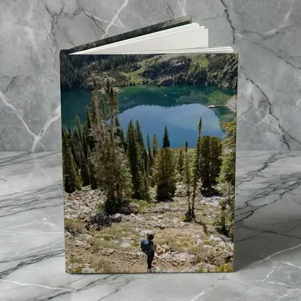 Hiker Overlooking Alpine Lake Mountain Forest
