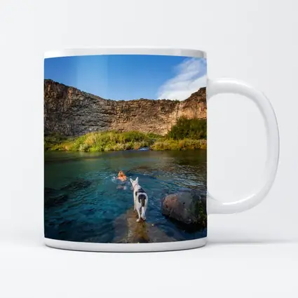 Border Collie Dog by Canyon River