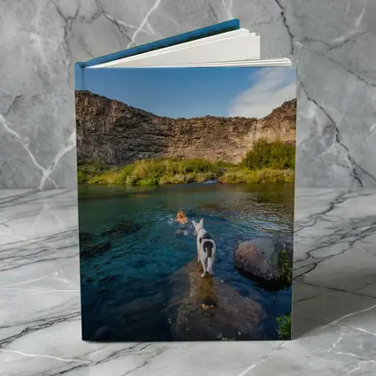 Border Collie Dog by Canyon River