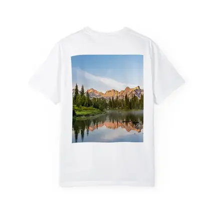 Mountain Lake Reflection Pine Forest Morning