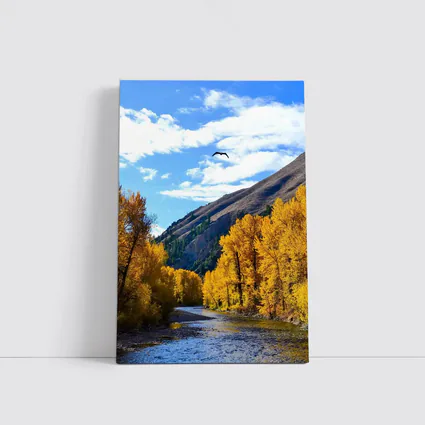 Autumn River Valley Eagle Blue Sky