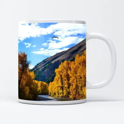Autumn River Valley Eagle Blue Sky
