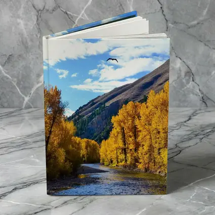 Autumn River Valley Eagle Blue Sky