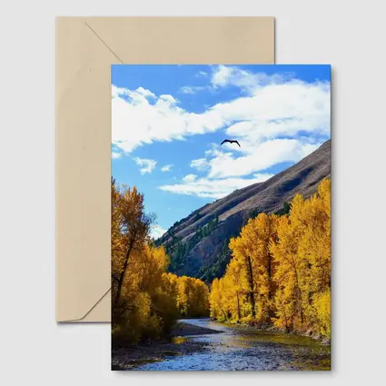 Autumn River Valley Eagle Blue Sky