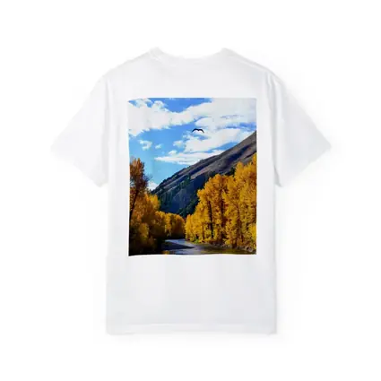 Autumn River Valley Eagle Blue Sky
