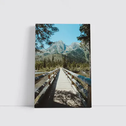 Wooden Bridge Mountain Forest Path View