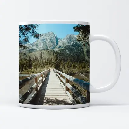Wooden Bridge Mountain Forest Path View
