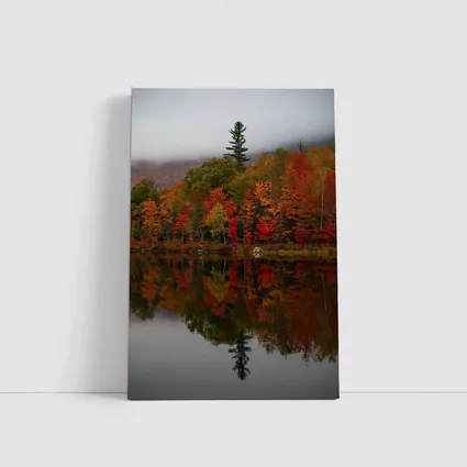 Autumn Forest Reflection Misty Lake Scene