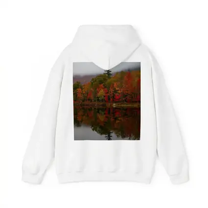 Autumn Forest Reflection Misty Lake Scene