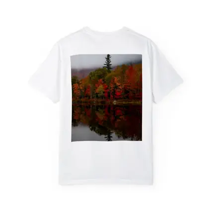 Autumn Forest Reflection Misty Lake Scene