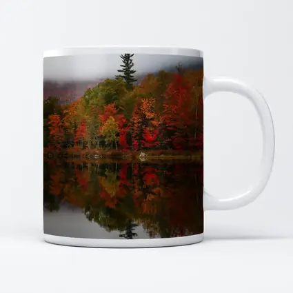 Autumn Forest Reflection Misty Lake Scene