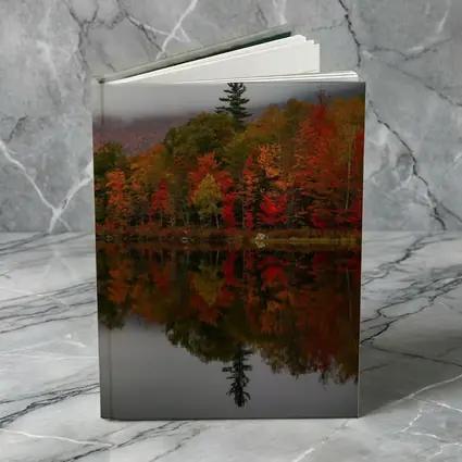 Autumn Forest Reflection Misty Lake Scene