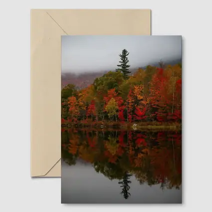 Autumn Forest Reflection Misty Lake Scene