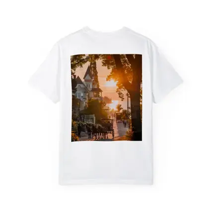 Horse Carriage Sunset Victorian Street Scene
