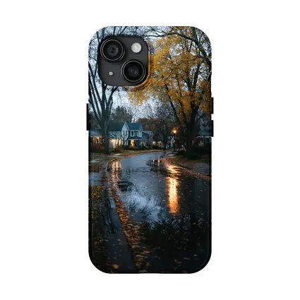 Rainy Autumn Suburban Street Wet Reflection